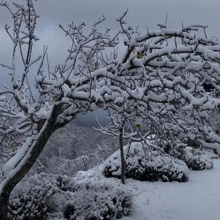Appartamento La Casa Di Haka Spogna